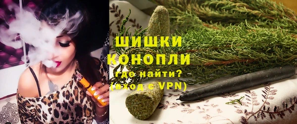 спайс Вяземский
