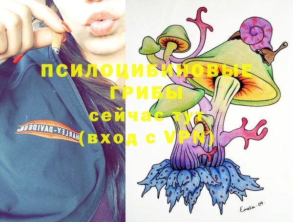 спайс Вяземский