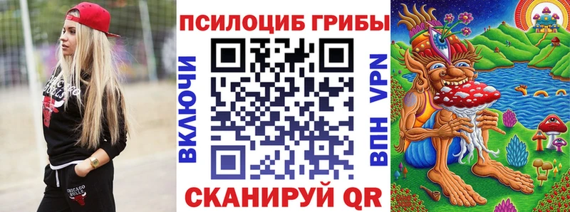 Купить закладки  Сураж  Псилоцибиновые грибы MAGIC MUSHROOMS 